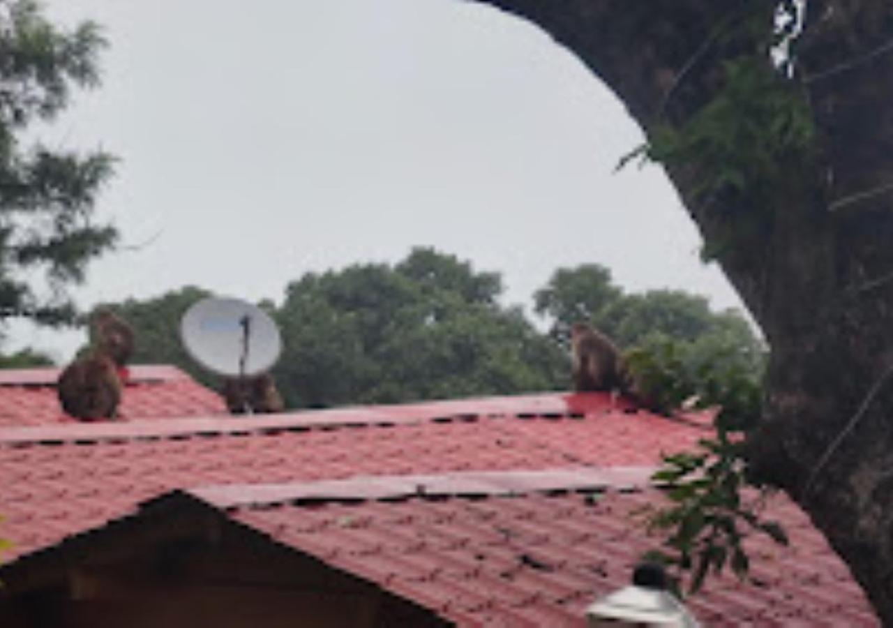 Kaas Woods Resort Yavateshwar Satara Bagian luar foto